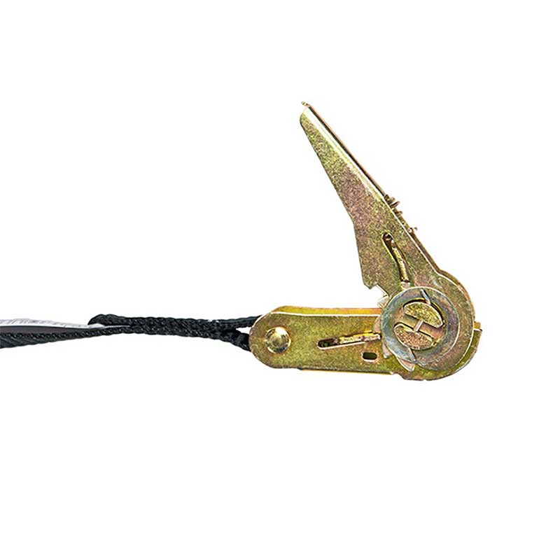 1 X 10' 블랙 엔드리스 래칫 스트랩